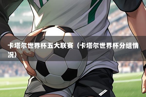 卡塔尔世界杯五大联赛（卡塔尔世界杯分组情况）