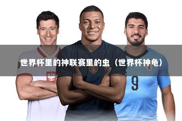 世界杯里的神联赛里的虫(世界杯神龟)