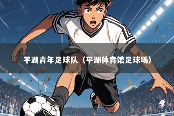 平湖青年足球队(平湖体育馆足球场)