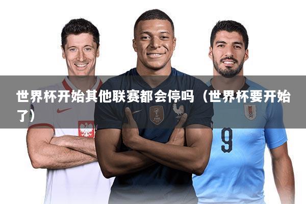 世界杯开始其他联赛都会停吗(世界杯要开始了)