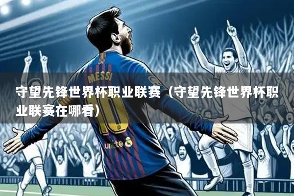 守望先锋世界杯职业联赛(守望先锋世界杯职业联赛在哪看)