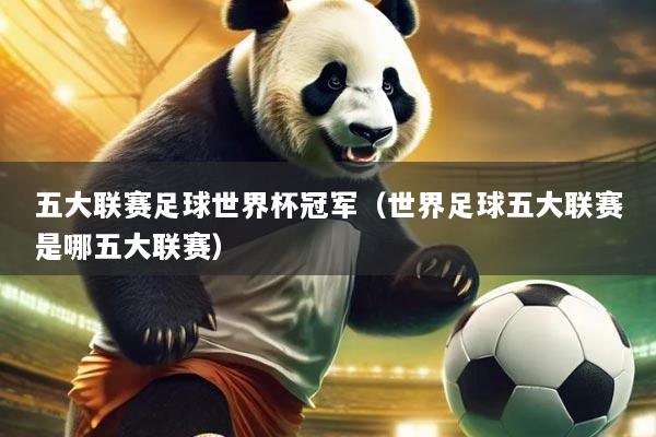 五大联赛足球世界杯冠军(世界足球五大联赛是哪五大联赛)