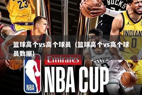 篮球高个vs高个球员(篮球高个vs高个球员数据)