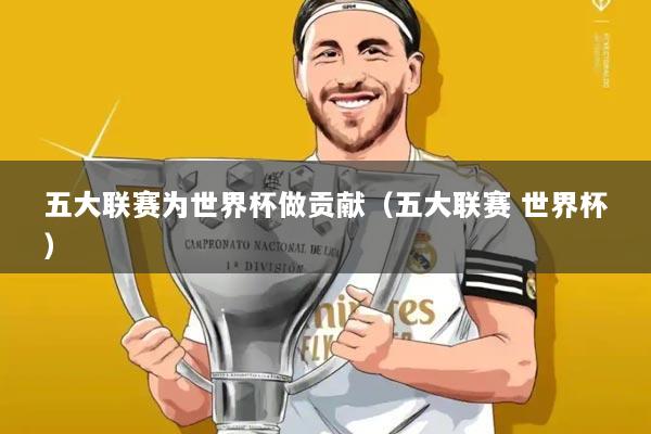 五大联赛为世界杯做贡献(五大联赛 世界杯)
