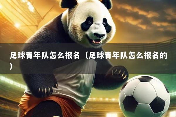足球青年队怎么报名(足球青年队怎么报名的)