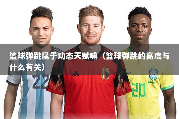 篮球弹跳属于动态天赋嘛(篮球弹跳的高度与什么有关)