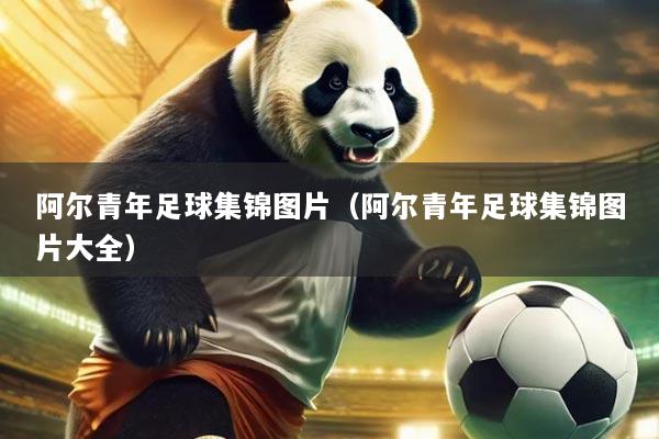 阿尔青年足球集锦图片(阿尔青年足球集锦图片大全)
