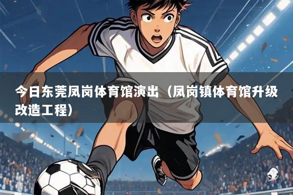 今日东莞凤岗体育馆演出(凤岗镇体育馆升级改造工程)