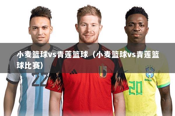 小麦篮球vs青莲篮球(小麦篮球vs青莲篮球比赛)