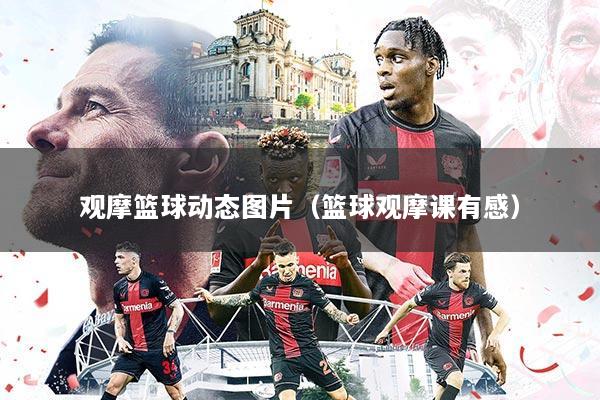 观摩篮球动态图片(篮球观摩课有感)