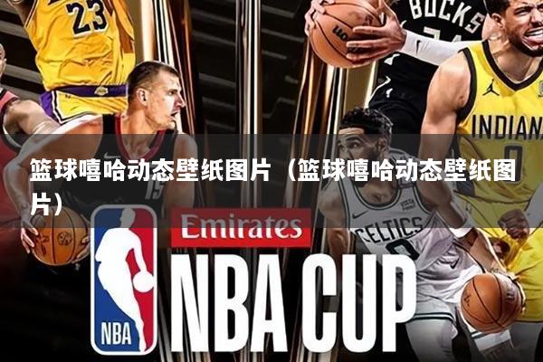 篮球嘻哈动态壁纸图片(篮球嘻哈动态壁纸图片)