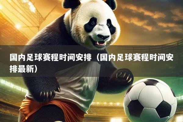 国内足球赛程时间安排(国内足球赛程时间安排最新)