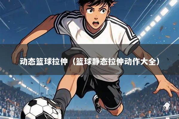 动态篮球拉伸(篮球静态拉伸动作大全)