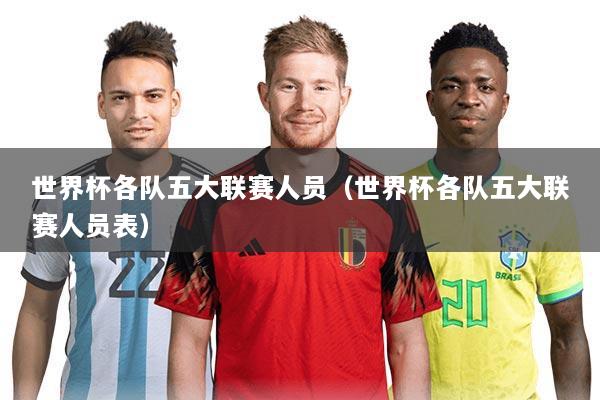 世界杯各队五大联赛人员(世界杯各队五大联赛人员表)