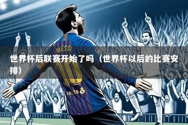 世界杯后联赛开始了吗(世界杯以后的比赛安排)
