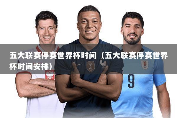 五大联赛停赛世界杯时间(五大联赛停赛世界杯时间安排)