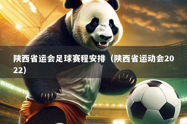陕西省运会足球赛程安排(陕西省运动会2022)